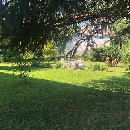Vila Labod, Unique Villa At The Lake โมสต์ นา โซชิ ภายนอก รูปภาพ